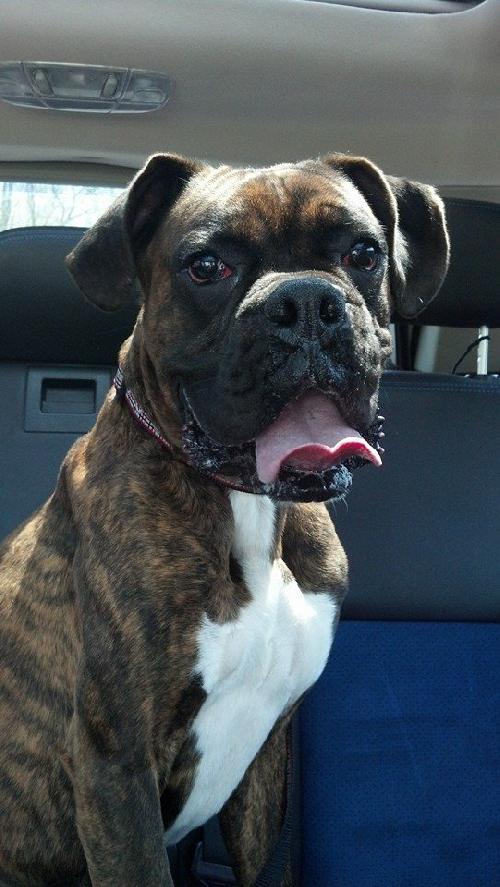 CALL TODAY FOR YOUR RESERVATION!